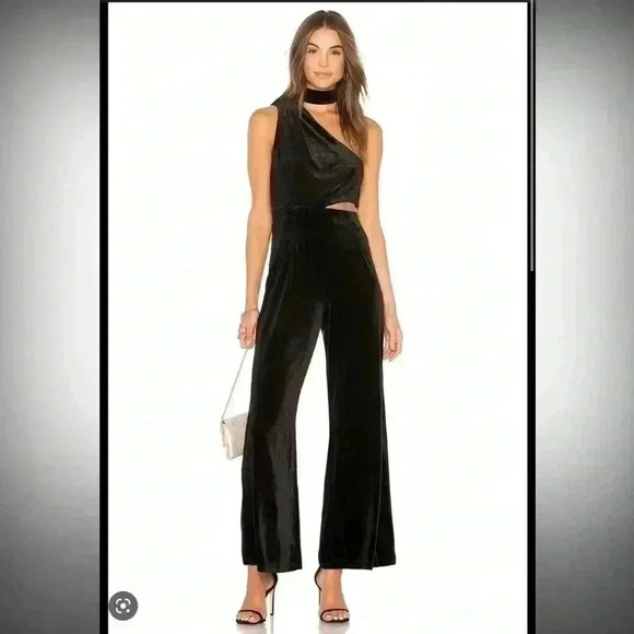 Lioness Pants - Lioness Velvet cutout jumpsuit NWT